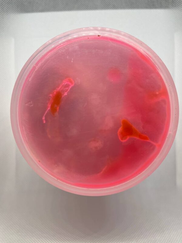 1 pot savon rose injection – Image 3