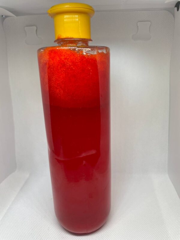 gel molato